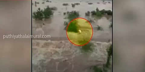 காஞ்சிபுரம்: பாலாற்று வெள்ளத்தில் அடித்துச்செல்லப்பட்ட நகராட்சி பம்ப் ஆப்பரேட்டர்!