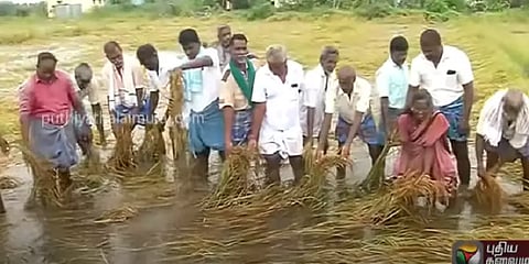 காஞ்சிபுரம்: மழை வெள்ள பாதிப்பால் 25,000 ஏக்கரில் பயிர்கள் பாதிப்பு - விவசாயிகள் கவலை