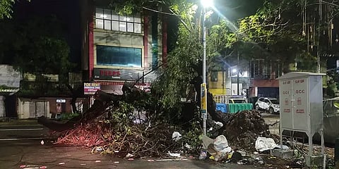 சென்னை: கனமழையில் முறிந்த மரம், 10 நாட்களை கடந்தும் அகற்றப்படாமல் உள்ள அவலம்