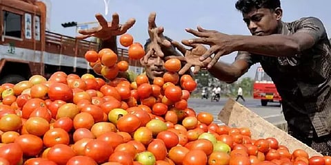 விலையேற்றத்தைக் கட்டுப்படுத்த பண்ணைப் பசுமை கடைகளில் தக்காளி விற்பனை: தமிழக அரசு அறிவிப்பு
