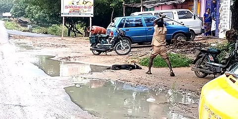 இரும்புக் கம்பியால் நாயை அடித்துக் கொன்ற முதுகுளத்தூர் பேரூராட்சி ஊழியர்: வைரலாகும் வீடியோ