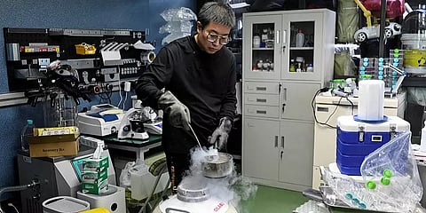 சீனா: அரிய நோயால் மரணத்தின் பிடியில் குழந்தை.. வீட்டிலேயே மருந்து தயாரிக்கும் பாசத் தந்தை