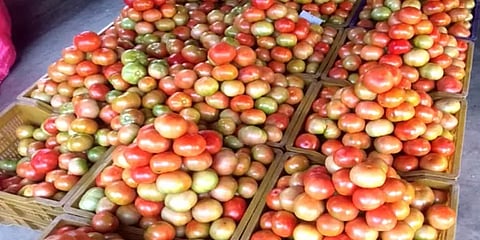 “தக்காளி எவ்வளவு விலை விற்றாலும் விவசாயிகளுக்கு நஷ்டம்தான்”-விலைஉயர்வு குறித்து முழு அலசல்