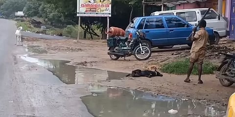 முதுகுளத்தூர்: நாயை இரும்புக்கம்பியால் அடித்துக்கொன்ற ஊழியர் தற்காலிக பணியிடை நீக்கம்