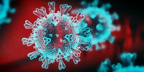 தென் ஆப்ரிக்காவில் பரவும் புதிய கொரோனா திரிபு ‘பி.1.1.529’-ன் விவரங்கள்!