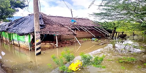 நாகை: வீடுகளை சூழ்ந்துள்ள மழைநீர்: பள்ளிக் கூடங்களில் தஞ்சமடைந்த மக்கள்