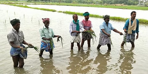 மயிலாடுதுறை: 3-வது முறையாக நீரில் மூழ்கிய 1000 ஏக்கர் சம்பா பயிர்கள்; விவசாயிகள் வேதனை