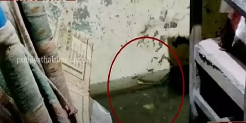 திருநின்றவூரில் வீடுகளுக்குள் மழைநீருடன் சேர்ந்து பாம்புகள் புகுந்ததால் மக்கள் அச்சம்
