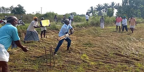 நெற்பயிர்களுக்கு இழப்பீடு வழங்கு: விளைநிலத்தில் கிரிக்கெட் விளையாண்ட விவசாயிகள்