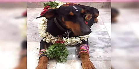 மதுரை: வளர்ப்பு நாய்க்கு வளைகாப்பு விழா நடத்திய காவல் உதவி ஆய்வாளர்