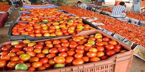 சென்னையில் தக்காளி விலை மீண்டும் அதிகரிப்பு