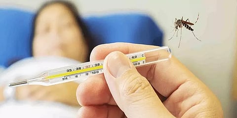 செரோடைப் 2 டெங்கு: இது மிகவும் ஆபத்தானதா? இதிலிருந்து தற்காத்துக்கொள்வது எப்படி?