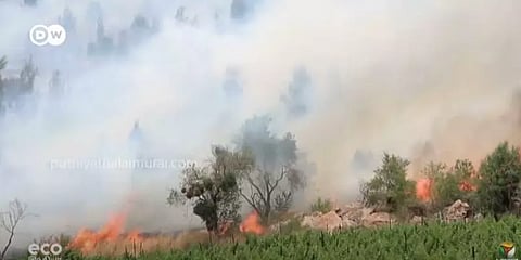 Eco India: பற்றி எரியும் பூமியை பாதுகாப்பது எப்படி?