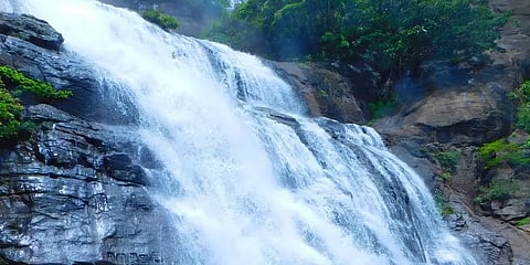 குற்றால அருவிகளில் டிச.20 முதல் குளிக்க அனுமதி