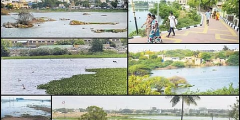 நீர்நிலை ஆக்கிரமிப்பு அறிக்கைக்கு நீதிமன்றம் அதிருப்தி; தலைமை செயலர் நேரில் ஆஜராக உத்தரவு