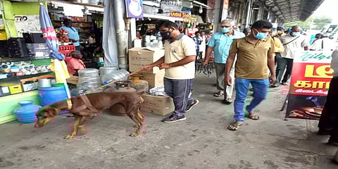 ஈரோடு: பேருந்து நிலையம் உள்ளிட்ட 3 இடங்களுக்கு வெடிகுண்டு மிரட்டல் - போலீசார் சோதனை