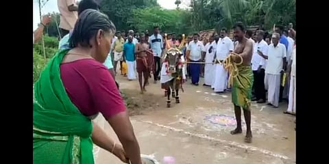 சிவகங்கை: புதிதாக வாங்கப்பட்ட கோயில் காளைக்கு மேளதாளம் முழங்க பூரண கும்ப வரவேற்பு