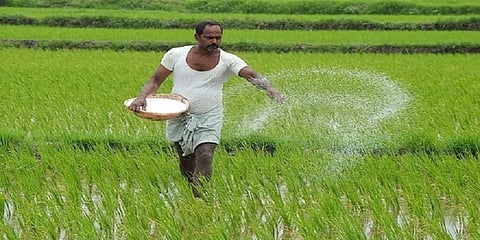 உரம் தொடர்பான புகார்களை தெரிவிக்க உதவி மையம் மற்றும் வாட்ஸ்அப் எண் அறிமுகம்