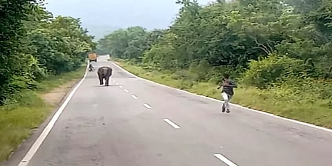 துரத்திய காட்டு யானை: தலைதெறிக்க ஓடி உயிர்தப்பிய இளைஞர்கள்