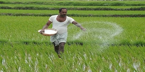 கடந்த பத்தாண்டுகளில் பாதிக்குமேல் குறைந்த உர மானியம்