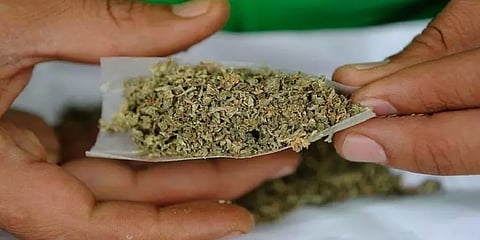 கஞ்சா விற்பனை குறித்து தகவல் அளித்தால் ரூ.10 ஆயிரம் சன்மானம் – திருவள்ளூர் எஸ்.பி