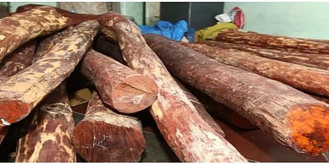 ரூ.1 கோடி மதிப்புள்ள செம்மரக்கட்டைகள் பறிமுதல் - ஆந்திரா போலீசார் நடவடிக்கை