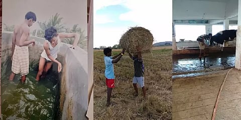 தனியார் காப்பகங்களில் சிரமத்துக்கு உள்ளாக்கப்படும் குழந்தைகள்: கண்டுகொள்ளப்படாத புகார்கள்?