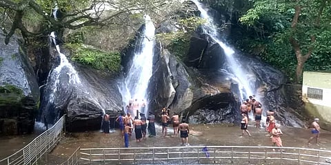 இன்று முதல் குற்றால அருவிகளில் குளிக்க அனுமதி: வெடி வெடித்துக் கொண்டாடிய சுற்றுலா பயணிகள்