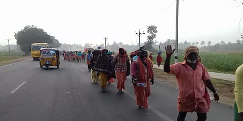 பழனி பாதயாத்திரையாக வரும் பக்தர்களின் வசதிக்காக 14 இடங்களில் தங்கும் வசதி ஏற்பாடு