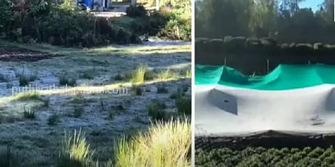 கொடைக்கானலில் நீர்நிலைகளை சூழ்ந்திருக்கும் உறைபனி