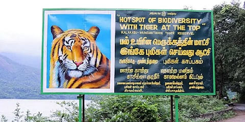 'PROJECT TIGER' திட்டம்: களக்காடு - முண்டந்துறை புலிகள் காப்பகத்திற்கு நிதி ஒதுக்கி அரசாணை