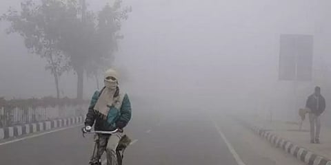 நீலகிரியில் தொடங்கிய உறைபனி சீசன் - ஊட்டியில் கடும் பனிப்பொழிவு