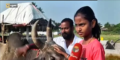 2018 இல் கார் பரிசு வென்ற பாண்டி காளையை வளர்க்கும் சிறுமி