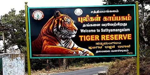 சத்தியமங்கலம் புலிகள் காப்பகத்திற்கு ரூ.4.86 கோடி நிதி ஒதுக்கீடு