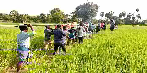 செஞ்சி: சடலத்தை வயல்வெளியில் சுமந்து செல்லும் அவலம் - பாதை கேட்டு கோரிக்கை