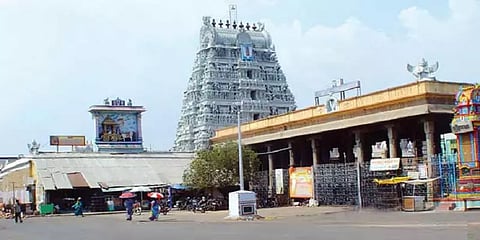 புத்தாண்டு: திருவல்லிக்கேணி பார்த்தசாரதி கோவிலில் சிறப்பு வழிபாடு