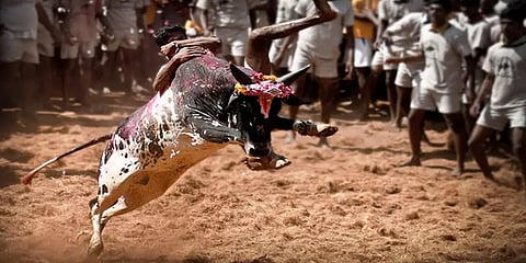 “சில கட்டுப்பாடுகளுடன் மதுரையில் ஜல்லிக்கட்டு போட்டி நடைபெறும்” -அமைச்சர் மூர்த்தி உறுதி