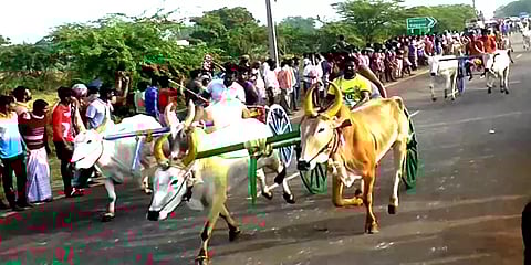 தூத்துக்குடி: மாட்டு வண்டி பந்தயம் - தடதடவென ஓடி பரிசுகளை தட்டிச் சென்ற மாடுகள்