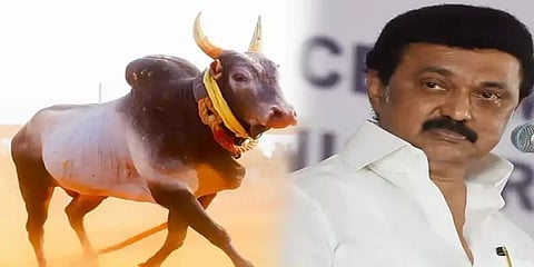 ஜல்லிக்கட்டை தொடங்கி வைக்க முதல்வர் ஸ்டாலினை அழைக்க முடிவு - ஜல்லிக்கட்டு கமிட்டி