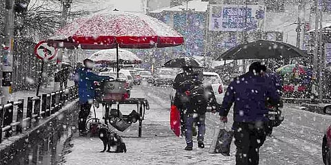 ஜம்மு காஷ்மீரில் கடும் பனிப்பொழிவு; இயல்பு வாழ்க்கை பாதிப்பு