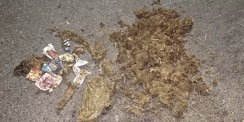 கோவை: யானைகளின் சாணத்தில் நெகிழிக் குப்பைகள் - வன உயிரின ஆர்வலர்கள் அதிர்ச்சி