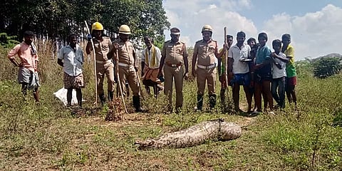 மதுரை: நாயை விழுங்கிவிட்டு தவித்த 7 அடி மலைப்பாம்பு - மனிதனை விழுங்கிவிட்டதாக பரவிய வதந்தி