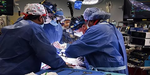 மனிதருக்கு பொருத்தப்பட்ட பன்றி இதயம்: உறுப்பு மாற்று அறுவை சிகிச்சையில் பெரும் திருப்பம்