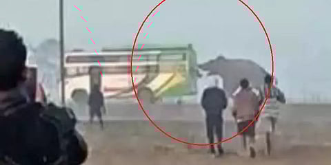 ஒடிசாவில் பேருந்தை தள்ளிக்கொண்டு சென்று பரபரப்பை ஏற்படுத்திய யானை - மிரண்டுபோன பயணிகள்