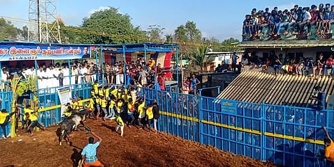 தமிழகத்தின் இந்த ஆண்டுக்கான முதல் ஜல்லிக்கட்டு போட்டி தொடங்கியது