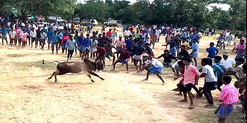 அறந்தாங்கியில் நடைபெற்ற மஞ்சுவிரட்டு: பரிசுகளை தட்டிச் சென்ற காளையும், காளையரும்