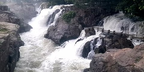 இன்று முதல் ஐந்து நாட்களுக்கு சுற்றுலா பயணிகள் ஒகேனக்கல் வர தடை: ஆட்சியர் அறிவிப்பு