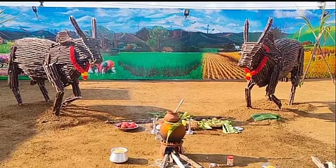 காஞ்சிபுரம்: 2 டன் கரும்புகளால் உருவாக்கப்பட்ட காளை உருவம்