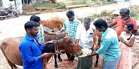 திண்டுக்கல்: சிறுமலை வனக்கிராம மக்கள் கொண்டாடிய குதிரை பொங்கல்