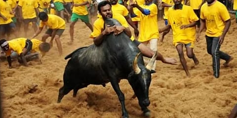 அலங்காநல்லூர் ஜல்லிக்கட்டு தொடங்கியது: சிறந்த காளைக்கு மு.க.ஸ்டாலின் சார்பில் கார் பரிசு